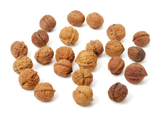 walnuts on white background 