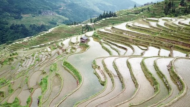 A tourist attraction: Jiabang terraced fields in Guizhou of China