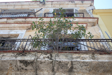 Old houses in Havana. Cuba