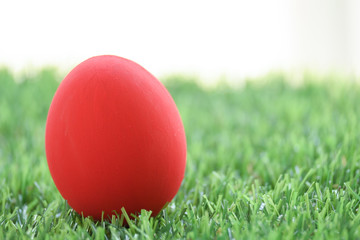 red easter egg on lawn green grass artificial with blank white background