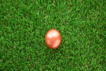 Fototapeta premium copper gold easter egg on lawn green grass