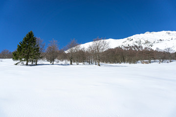 Fototapeta na wymiar Monte Baldo in Winter 2