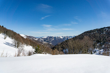 Fototapeta na wymiar Far Trentino Mountains 