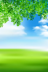 Obraz premium 新緑 葉 緑 背景