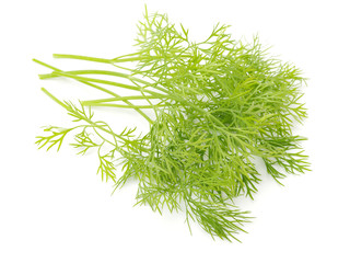 dill isolated on white background 