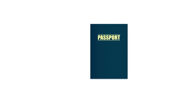 Passport. Documents. Personal information, animation with the alpha channel enabled. Cartoon