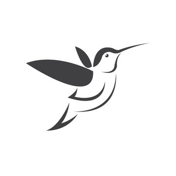 Vector image hummingbird design on white background. icon symbol. Illustrator. Black and White