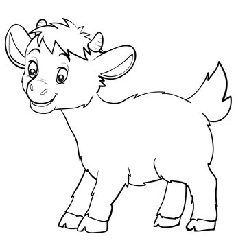 cartoon style little goat drawn in outline, isolated object on a white background, vector illustration,