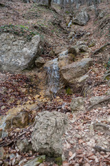 Waterfall in the forest