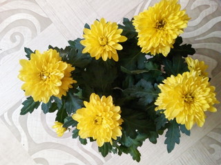 bouquet of yellow flowers