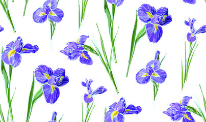 Irises flowers vector seamless background pattern hand drawn. Vector illustration. Textile design, wrapping paper.