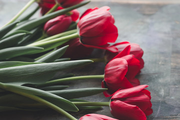 bouquet of red tulips