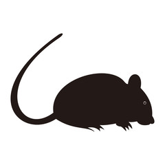 rat icon vector illustration symbol