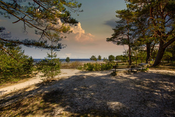 Fototapeta premium Bench