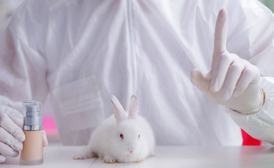 Scientist doing animal experiment in lab with rabbit