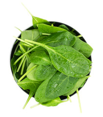 Fresh Spinach isolated on white