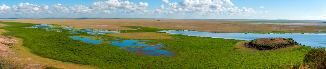 Landscape of a safari in Amboseli. Kenya, Africa