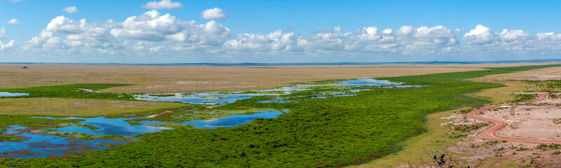 Landscape of a safari in Amboseli. Kenya, Africa