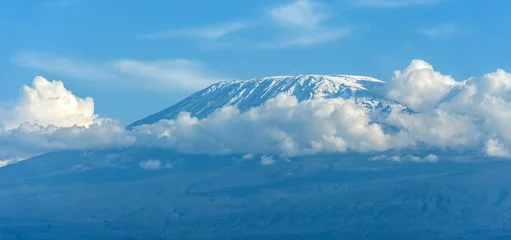 Photo sur Plexiglas Kilimandjaro Snow on top of Mount Kilimanjaro in Amboseli
