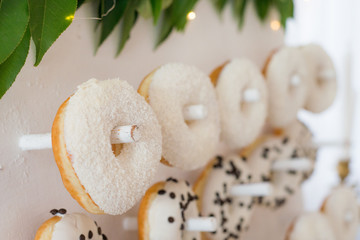 Candy bar. Table with sweets, candies, dessert