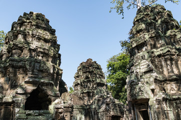 Ta Prohm temple in Angkor Wat, Cambodia