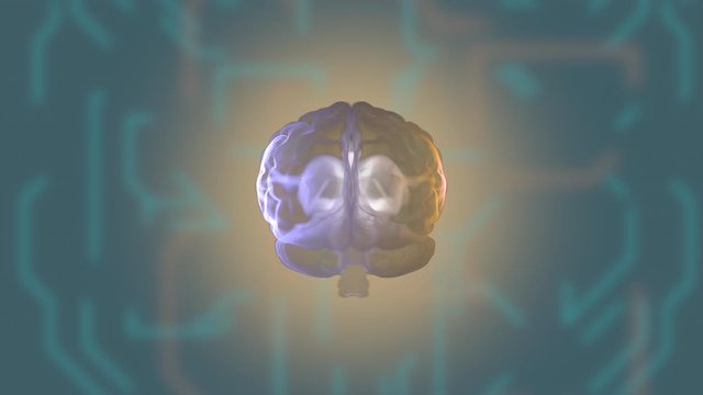 Computed medical tomography MRI scan of human brain over circuit green background.