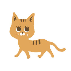 こちらを見ながら歩いている茶色の猫