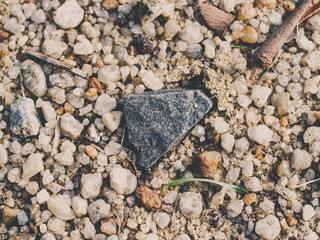 pebbles on the beach