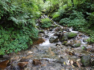 山林の川流れ1
