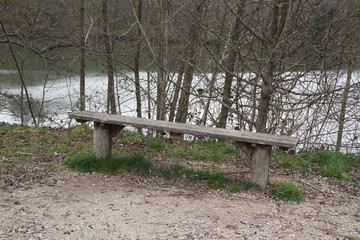 Un banc en bois en forêt