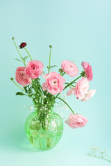 Pink ranunculus flowers in vase on light aqua. Holiday, greetings, love, romantic concept.