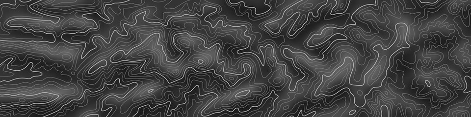 Imitation of a geographical map, white lines on black background, vector design