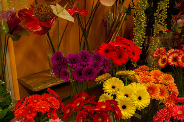 Flower shop  gerbera and anthurium are in vases