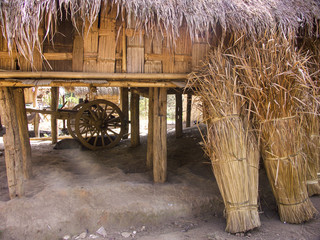Maison traditionnelle d'une minorité ethnique dans les hauts de Chiang Raï, Thaïlande.