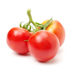 fresh tomato isolated on white background