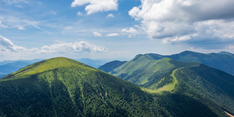 Mountain view with Pine forest in Slovakia