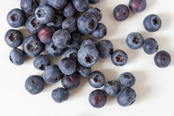 Large, ripe blueberries on a white background