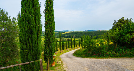 Fototapeta na wymiar Tuscany village landscape on a sun day, Italy. Beautiful green hils and rural road. Agricultural area with fields and cypresses.