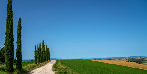 Fototapeta premium Landscape with a cypresses and rural path in Tuscany, Italy.