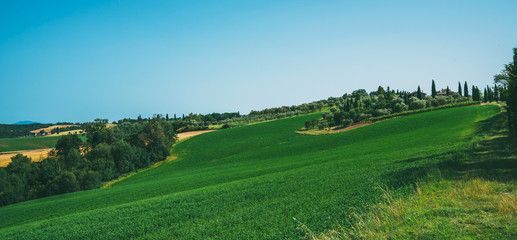 Beautiful view in Tuscany, Italy. Rural landscape. Countryside hills and meadows, green and yellow fields and sky. Beautiful world.