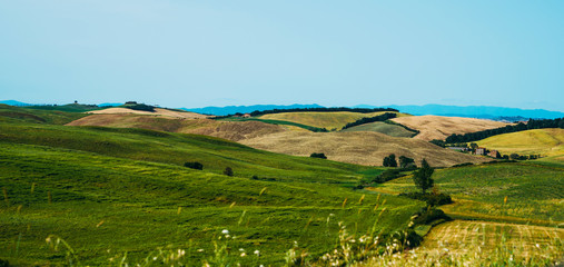 Naklejka premium Beautiful view in Tuscany, Italy. Rural landscape. Countryside hills and meadows, green and yellow fields and sky. Beautiful world.