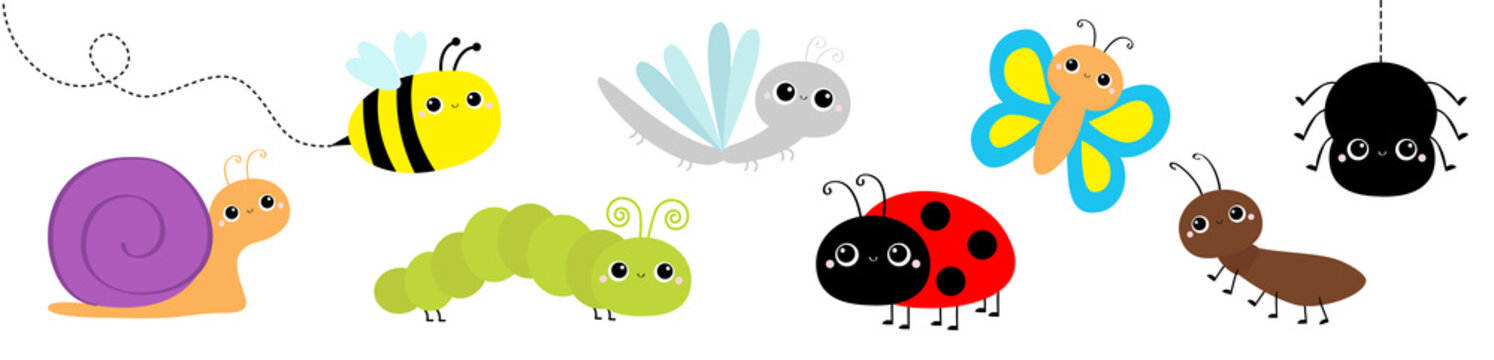 Snail, beetle, ladybug ladybird, dragonfly, ant, butterfly, green caterpillar, spider, honey bee. Insect set. Cute cartoon kawaii baby animal character. Flat design. Isolated. White background.