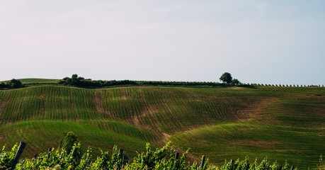 Beautiful view in Tuscany, Italy. Rural landscape. Countryside hills and meadows, green and yellow fields and sky. Beautiful world.