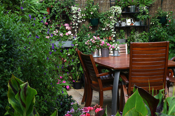 Fototapeta na wymiar Cosy Little Patio area in the garden with wooden seating area and lots of green plants in planters such a Canna, fuchsias and succulents in shabby chic pots