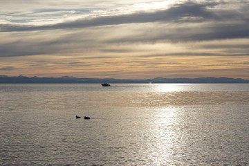 Sonnenuntergang am Bodensee mit Motorboot