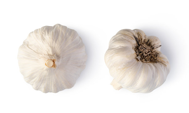 Fresh garlic on white background