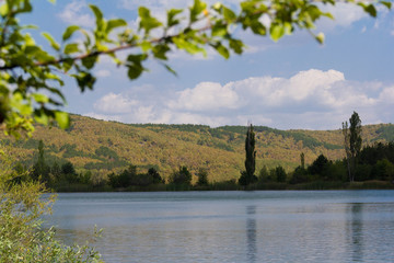Forest lake shore view. Summer forest lake shore panorama