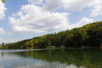 Fototapeta na wymiar Forest lake shore view. Summer forest lake shore panorama
