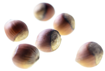 Hazelnuts nuts isolated on a white background