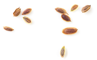 Dill seeds isolated on a white background